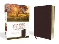  Amplified Holy Bible, Large Print, Bonded Leather, Burgundy: Captures the Full Meaning Behind the Original Greek...